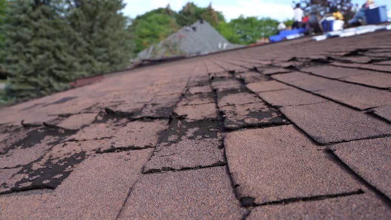 Trusted Athens, IL Roofing Service Experts